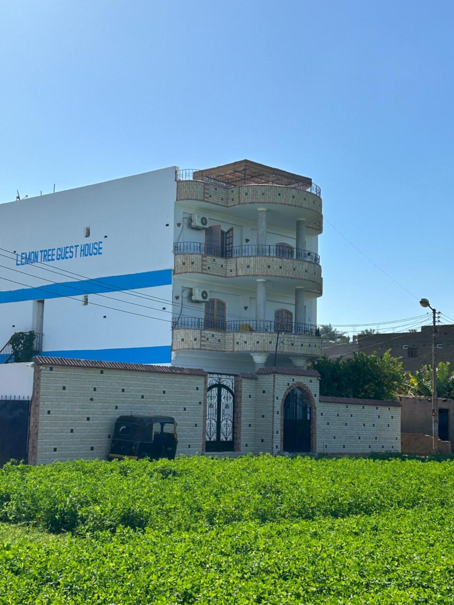 Lemon Tree Apartments Luxor Lel Agalta Dış mekan fotoğraf