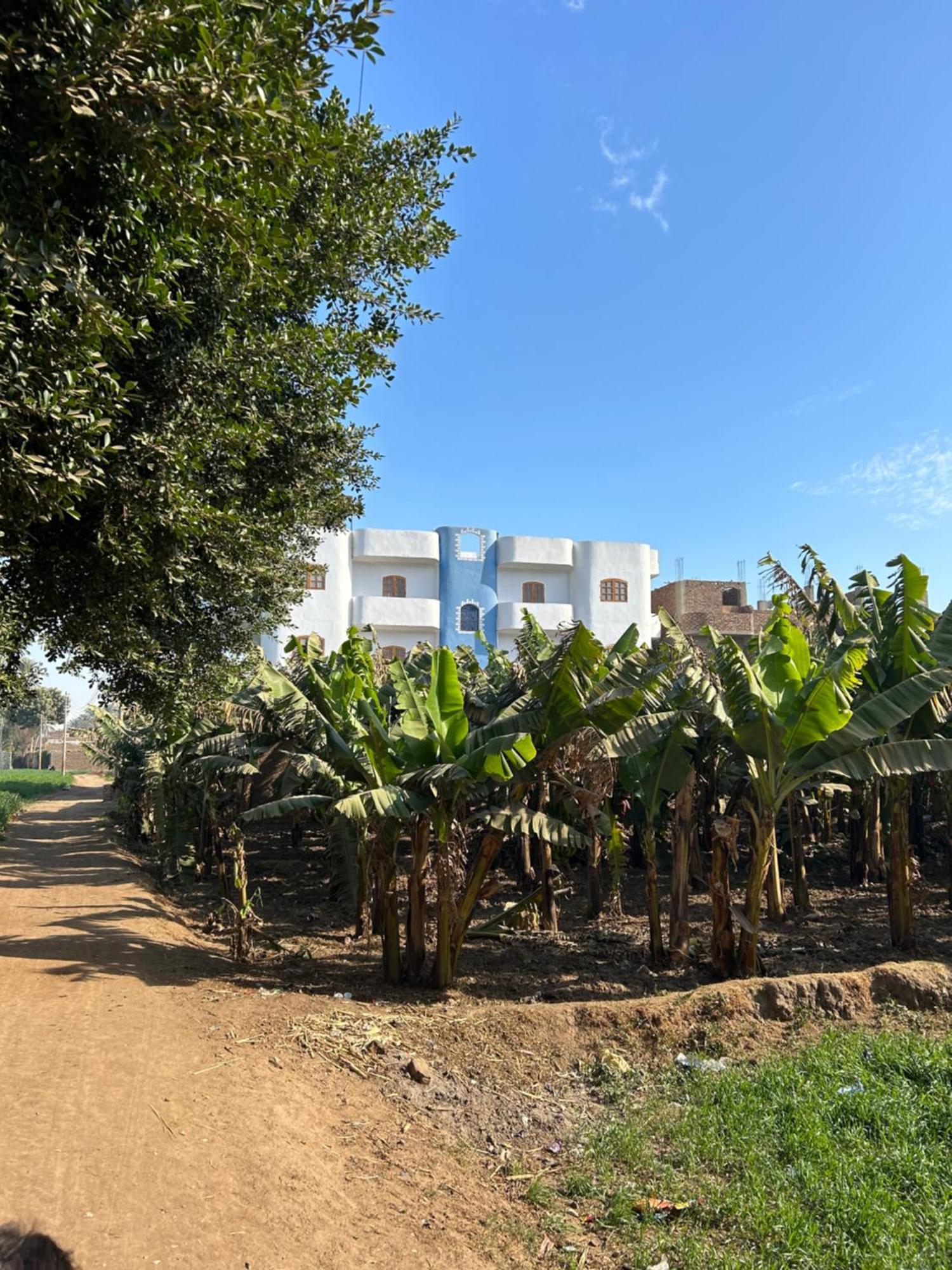Lemon Tree Apartments Luxor Lel Agalta Dış mekan fotoğraf